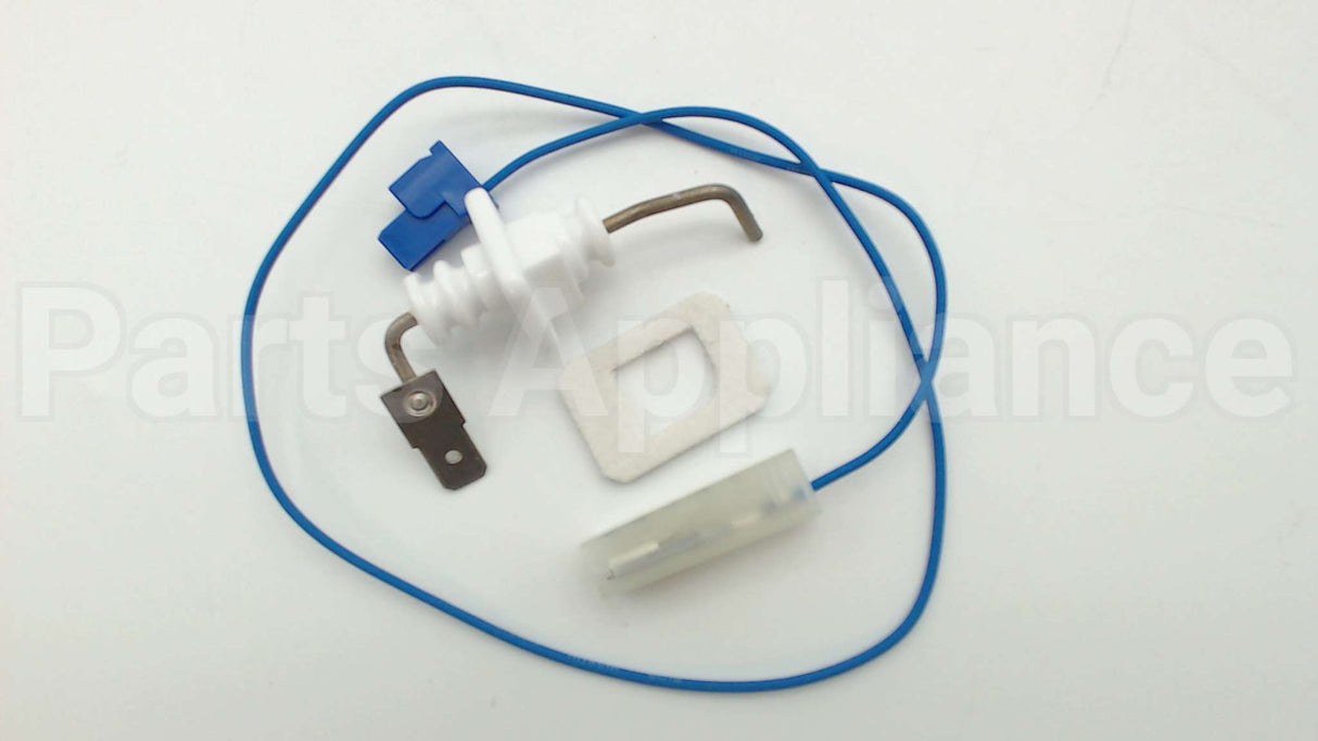 RTG20212BG Rheem-Ruud Electrode Fl2