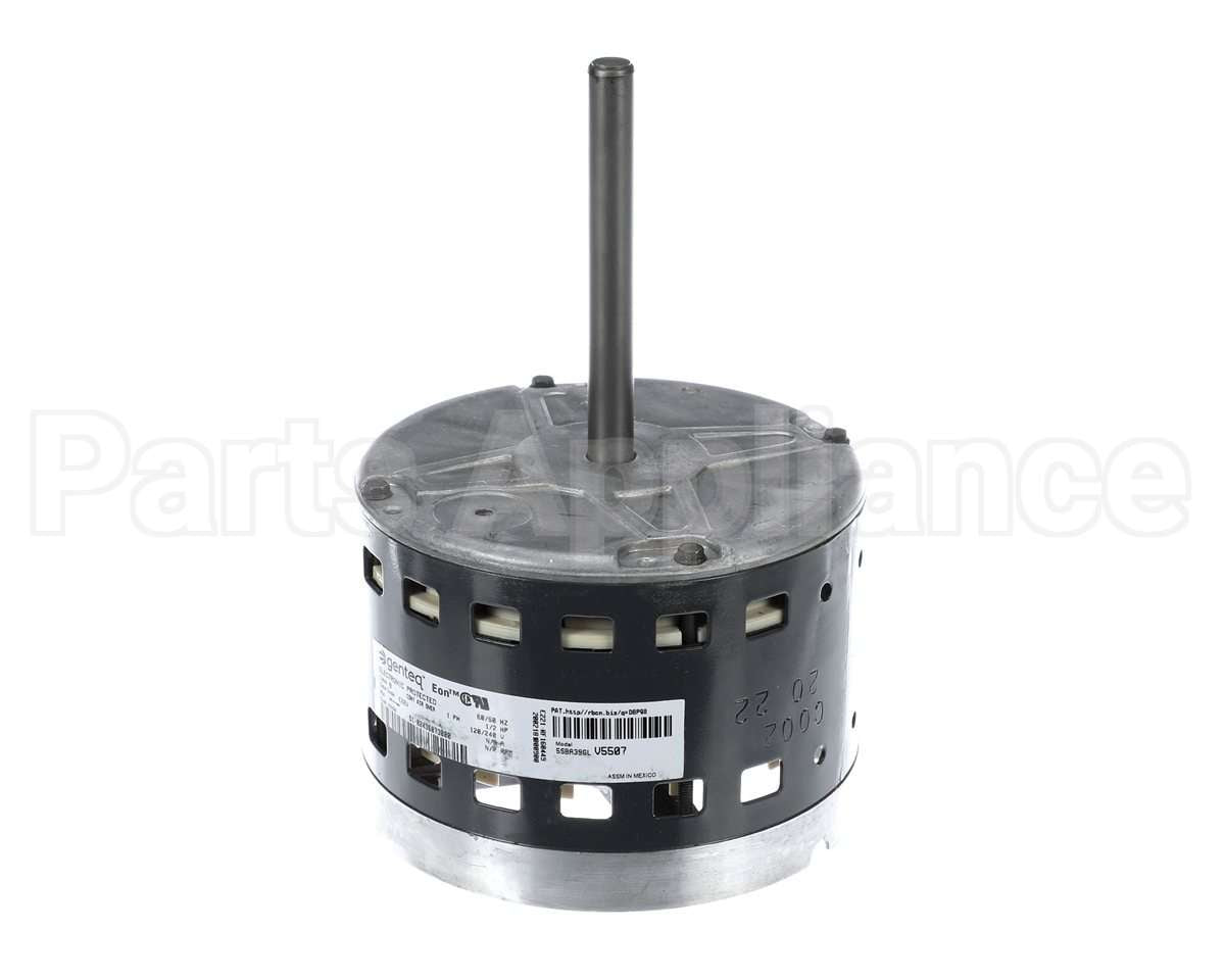 S1-02436073000 York Mtr,Blw,Less Module,1/2,Regal