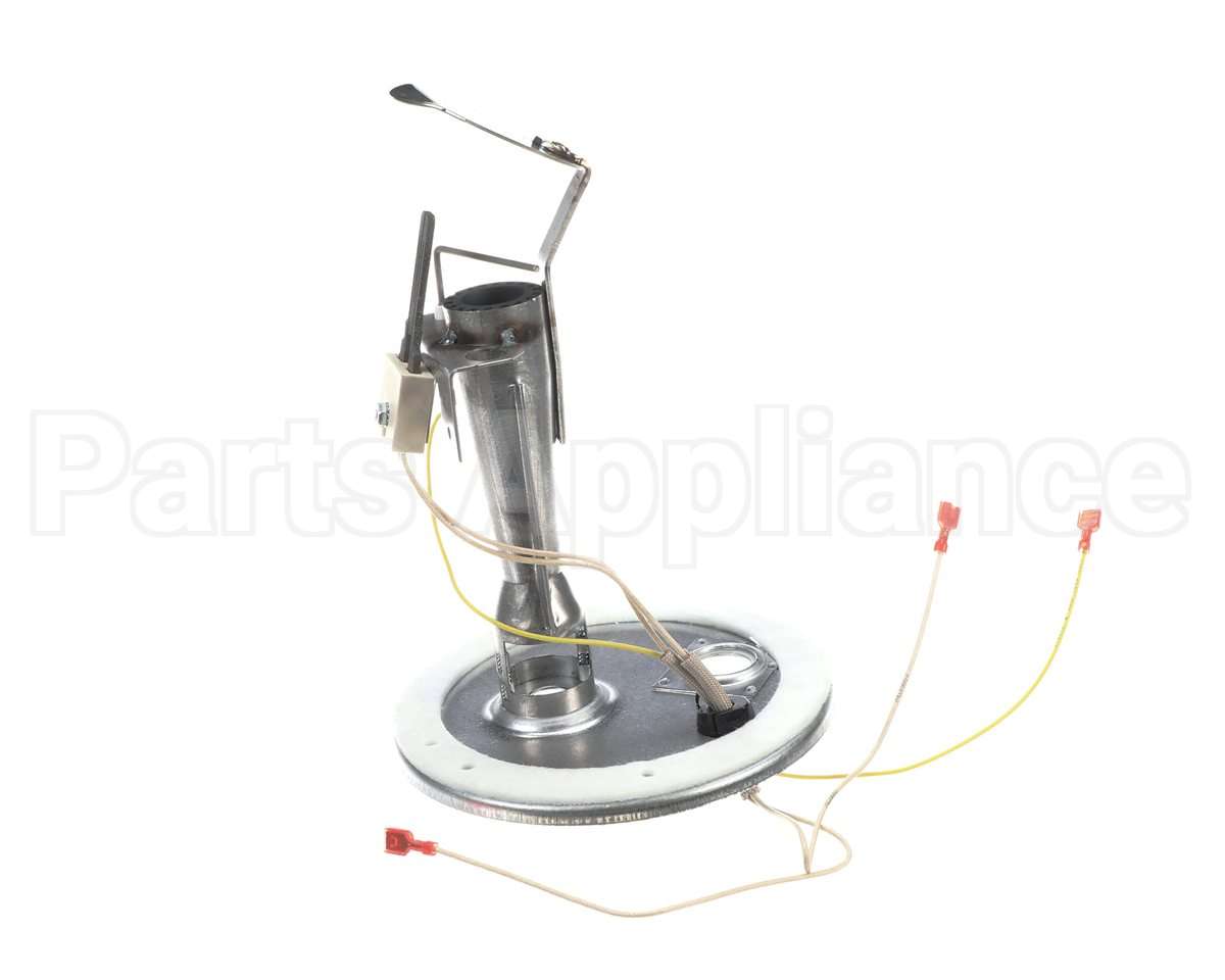S1-373-19801-403 York Burner Assembly