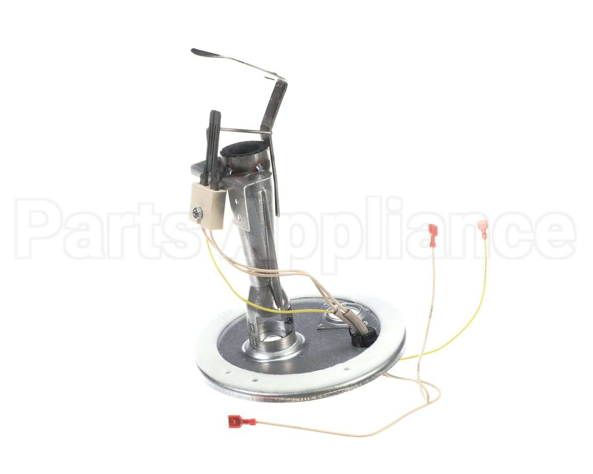 S1-37319801403 York Burner Assembly