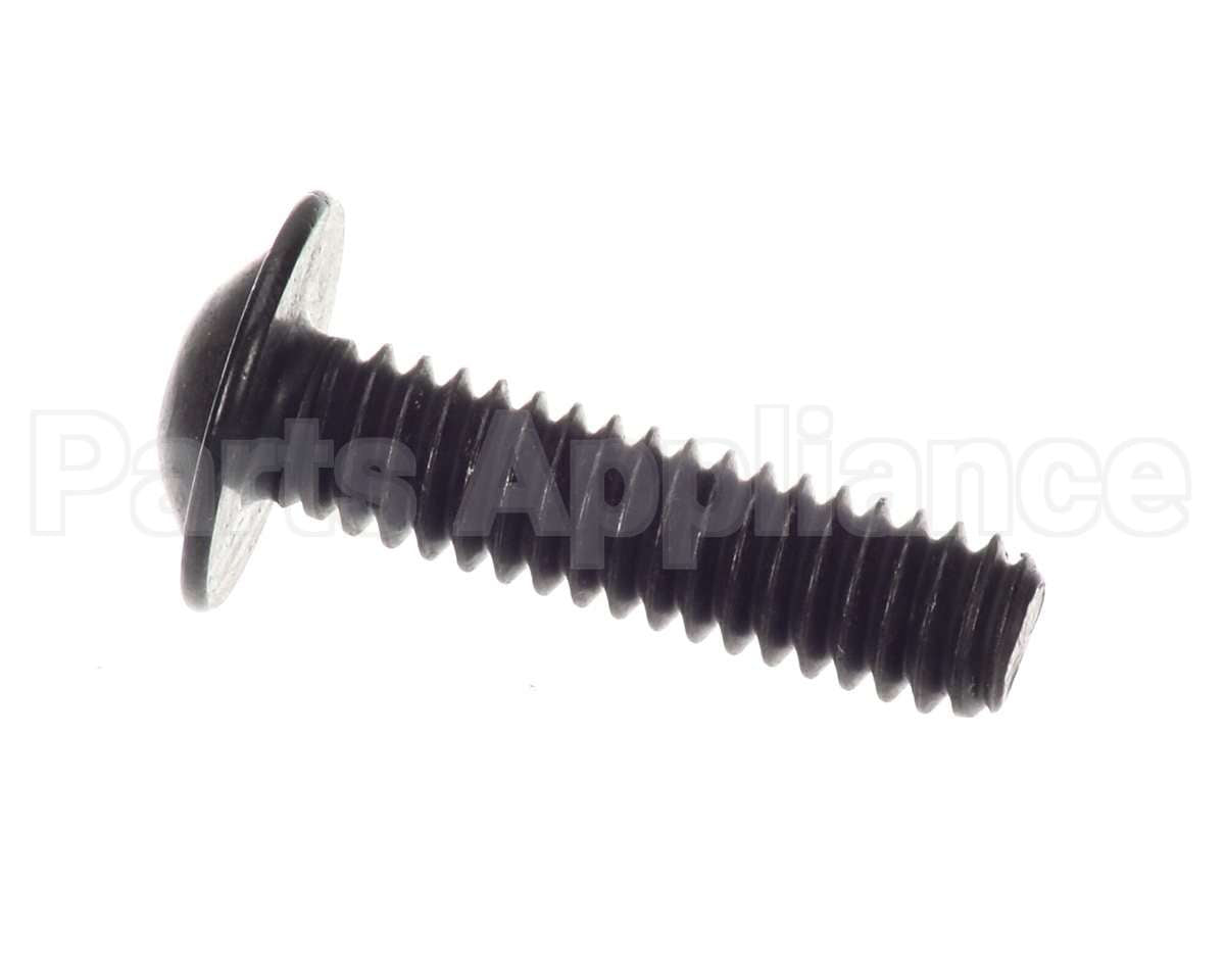 SC01-251 Henny Penny Screw-1/4-20X1 Hex Soc Cap
