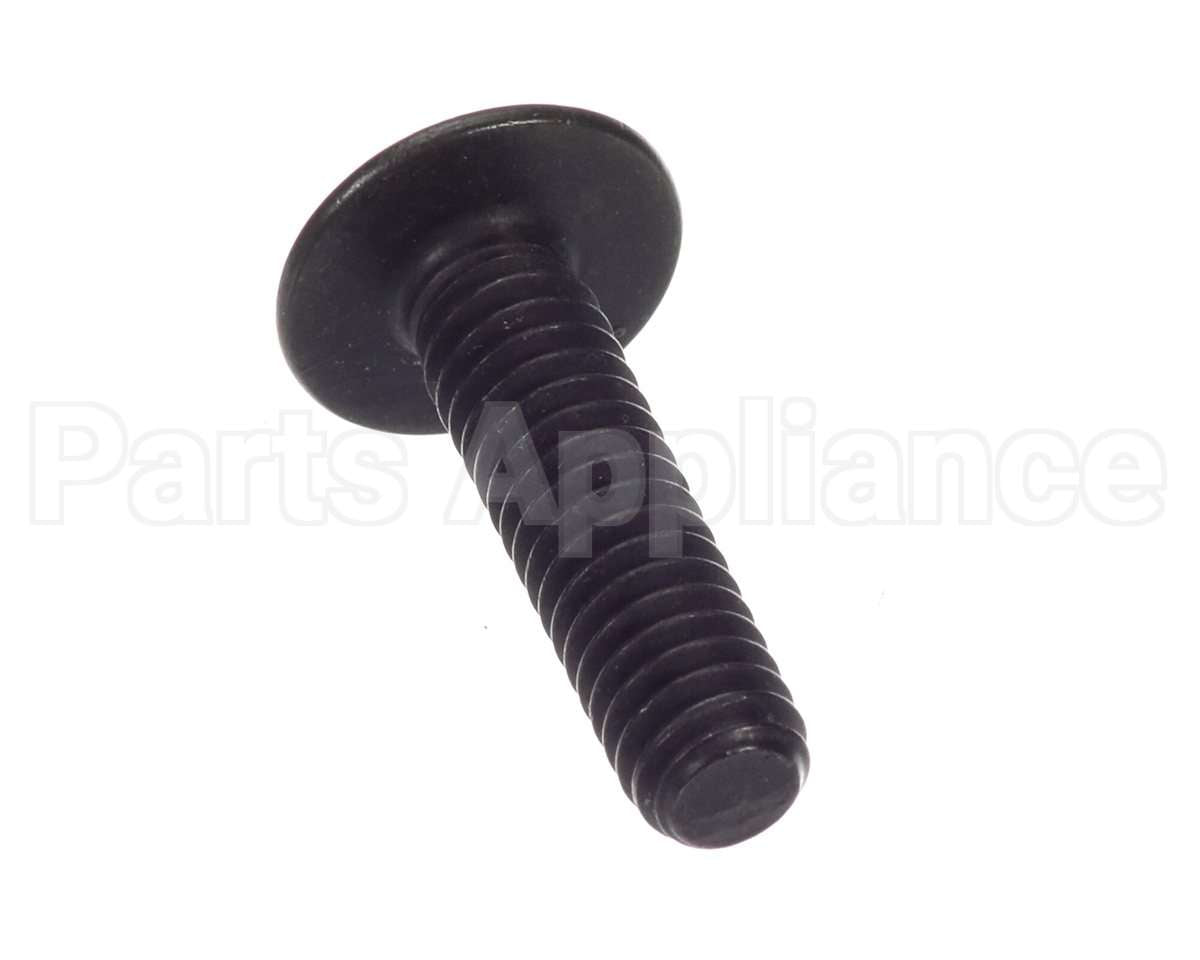 SC01-251 Henny Penny Screw-1/4-20X1 Hex Soc Cap