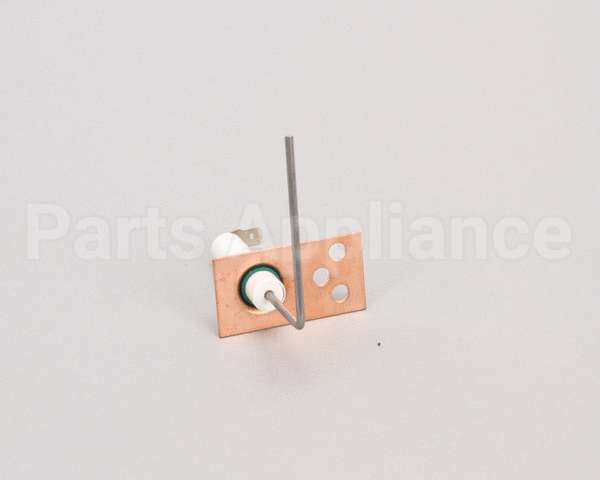 SEN00297 Trane Sensor, Flame