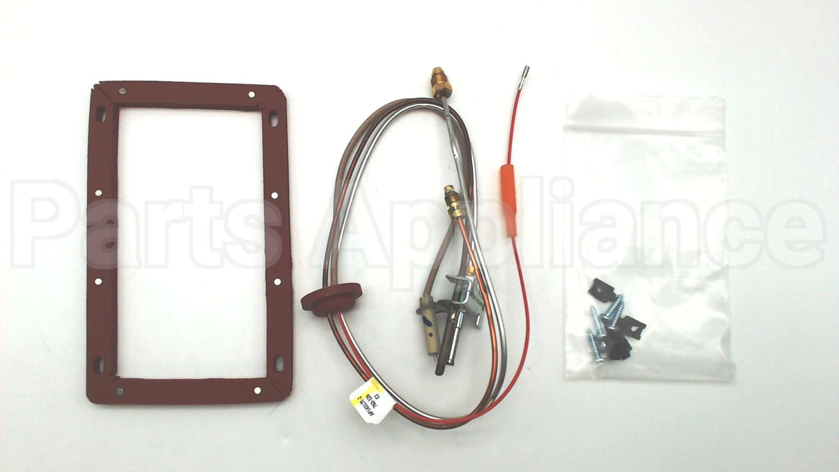 SP20127 Rheem-Ruud Ng Pilot Assembly