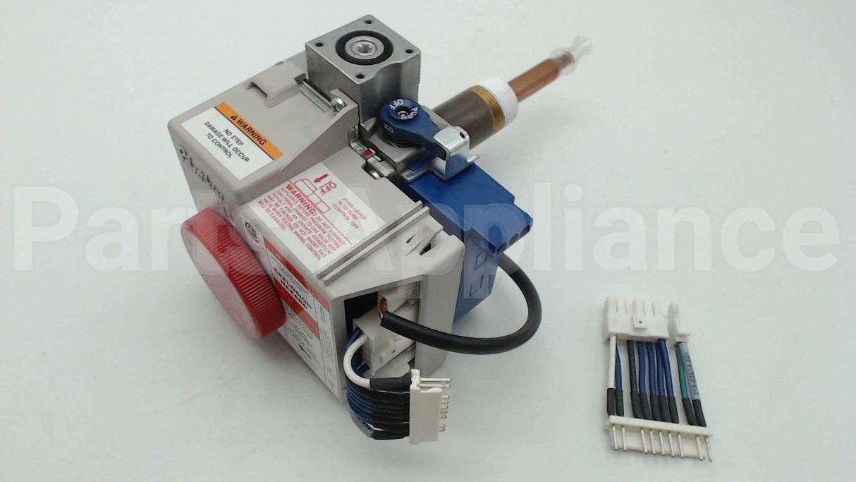 SP20161A Rheem-Ruud Ng Comb Valve Replacement Kit