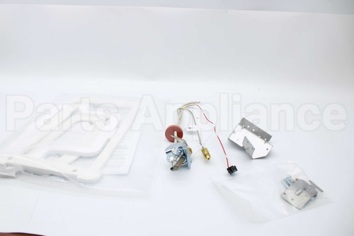 SP20799 Rheem-Ruud Pilot Assembly
