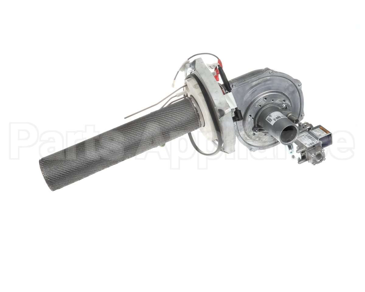 SP21001A Rheem Combustin Assy Nat