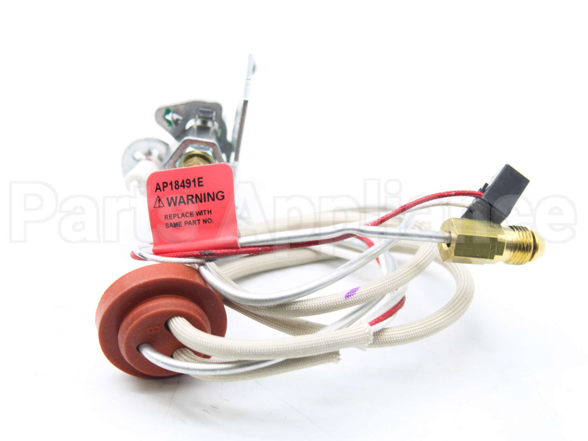 SP21059 Rheem-Ruud Pilot Assembly Replacement Kit