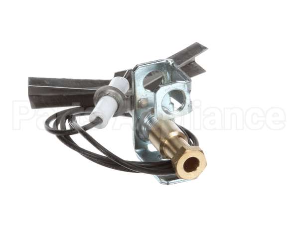 U01211069001 Globe Ods Flame Protection Ng
