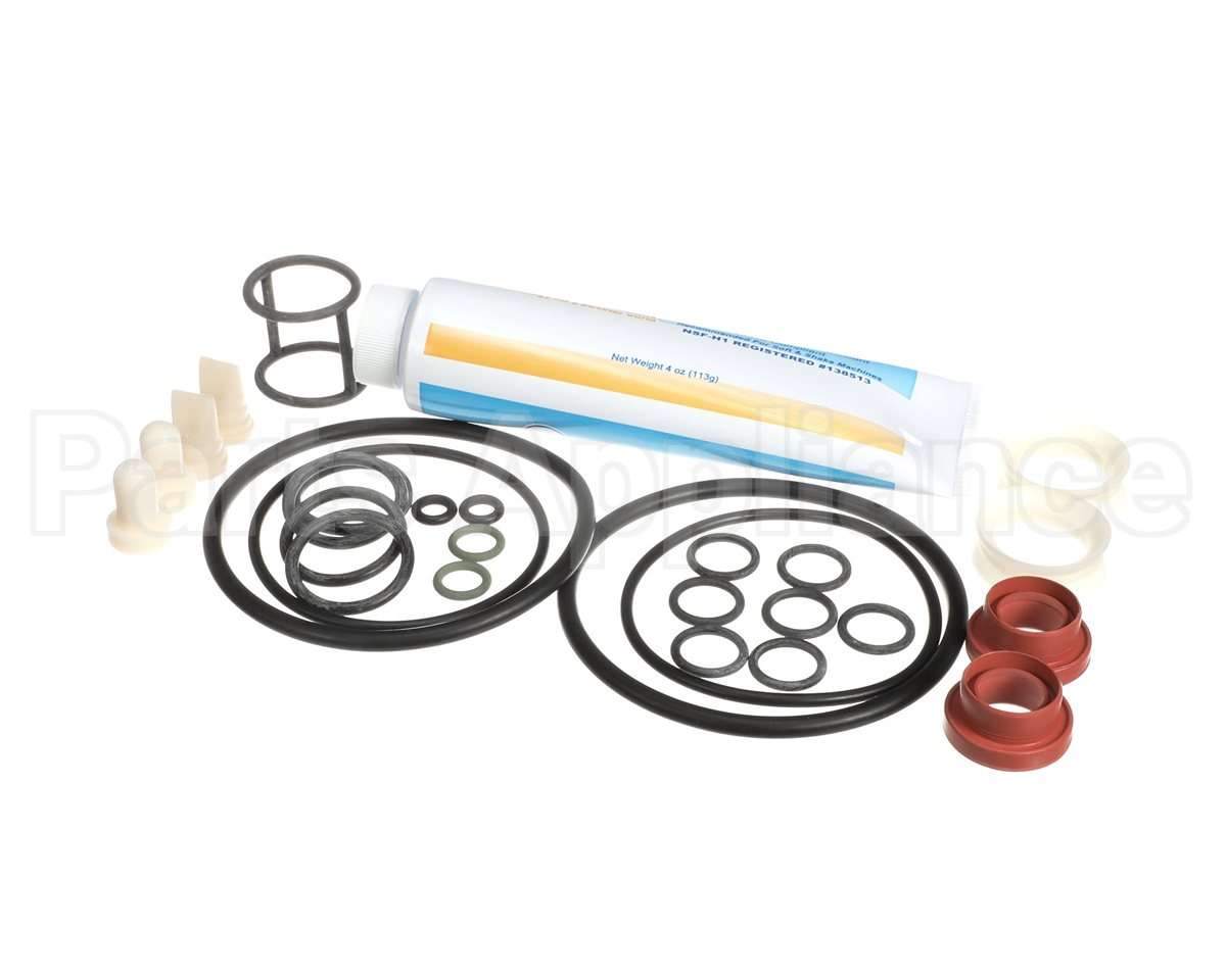 US193-024876 Carpigiani Tune Up Kit Minor Uf253/203P