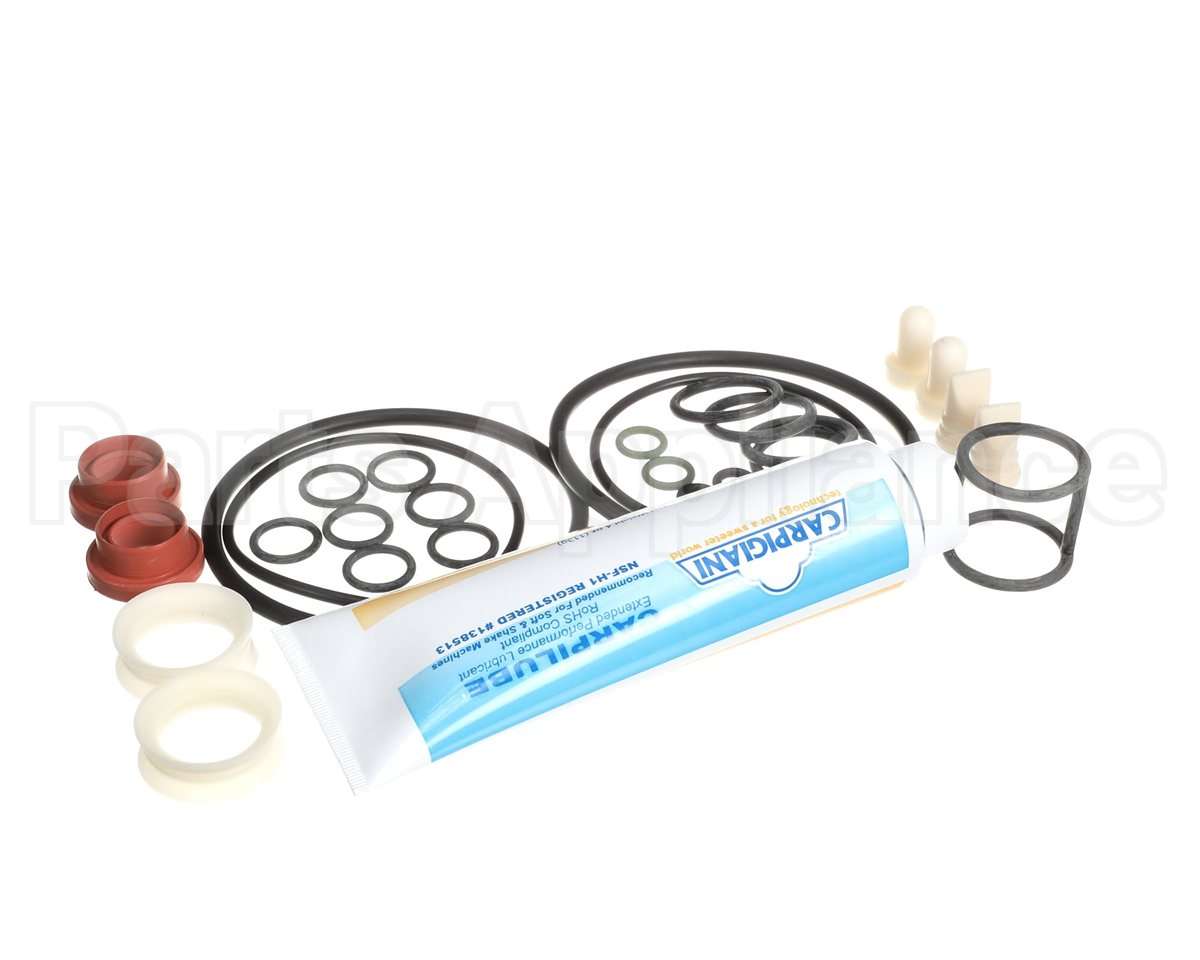 US193-024876 Carpigiani Tune Up Kit Minor Uf253/203P