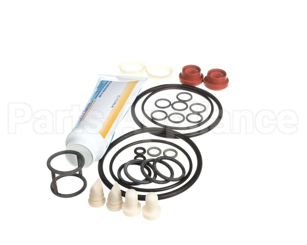 US193-024876 Carpigiani Tune Up Kit Minor Uf253/203P
