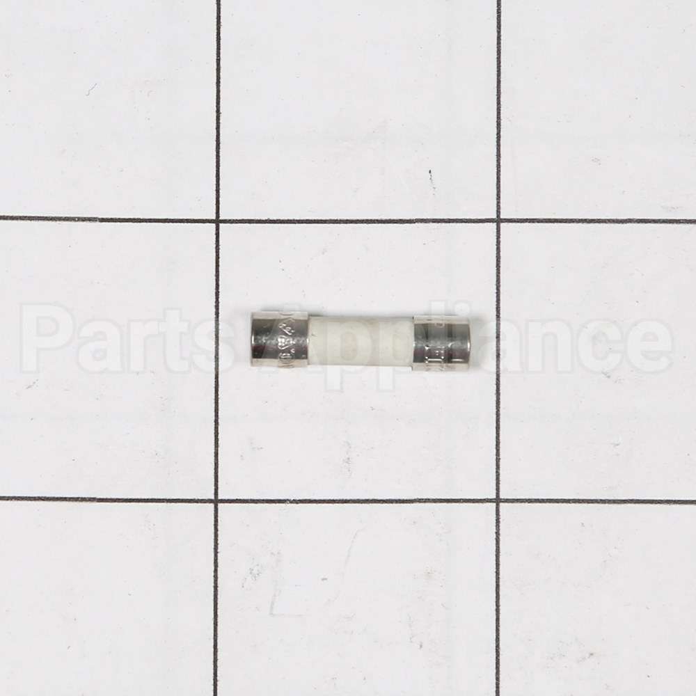 W10487251 Whirlpool Fuse