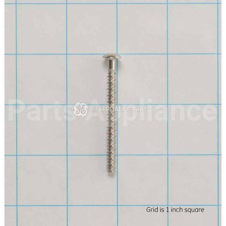 WB01T10067 GE Scr 10-16 Pl Pnt 2.5 S