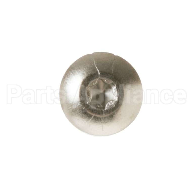 WB01T10067 GE Scr 10-16 Pl Pnt 2.5 S