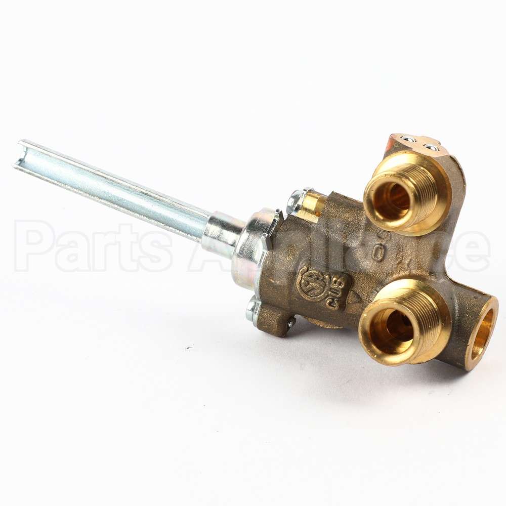 WB19T10087 GE Valve Dual