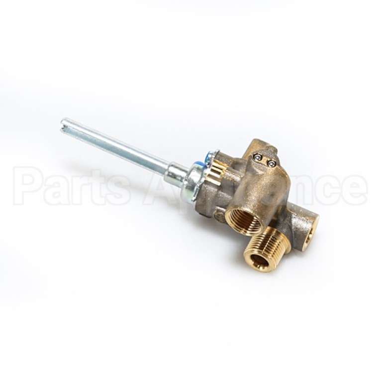 WB19T10088 GE Valve Dual