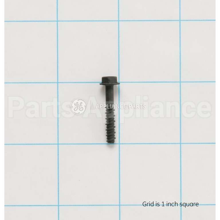 WB1K5156 GE Screw