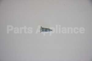 WB1K5191 GE Screw Fl Znc 10-32