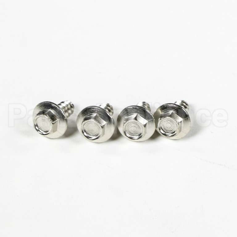 WB1M1 GE Screw