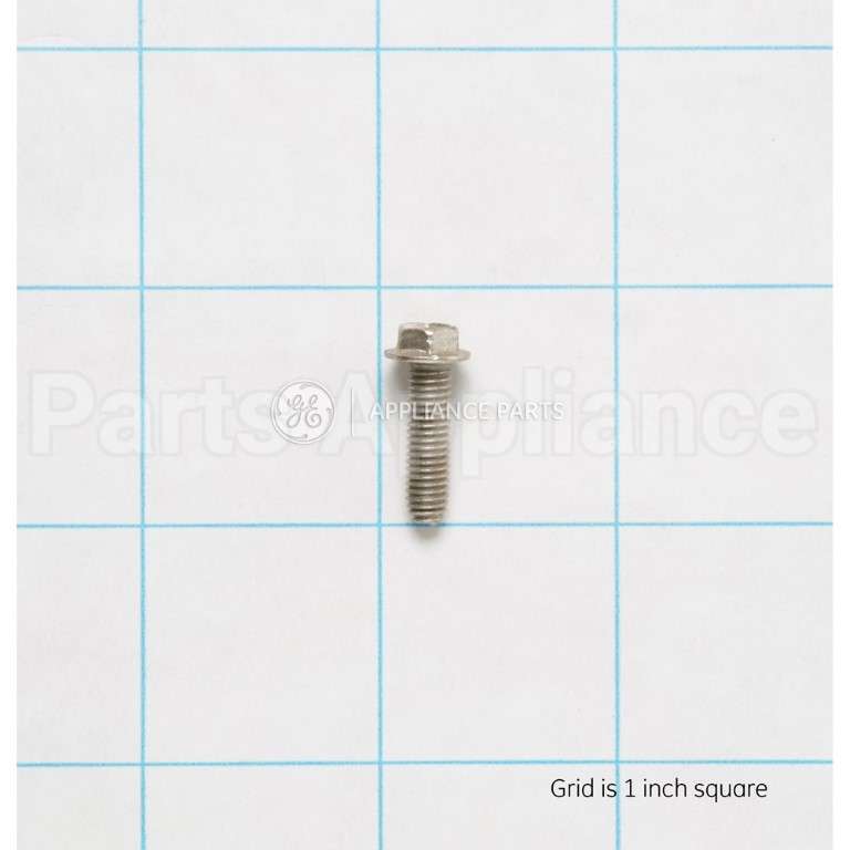 WB1X1116 GE Screw
