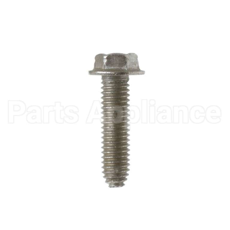 WB1X1116 GE Screw