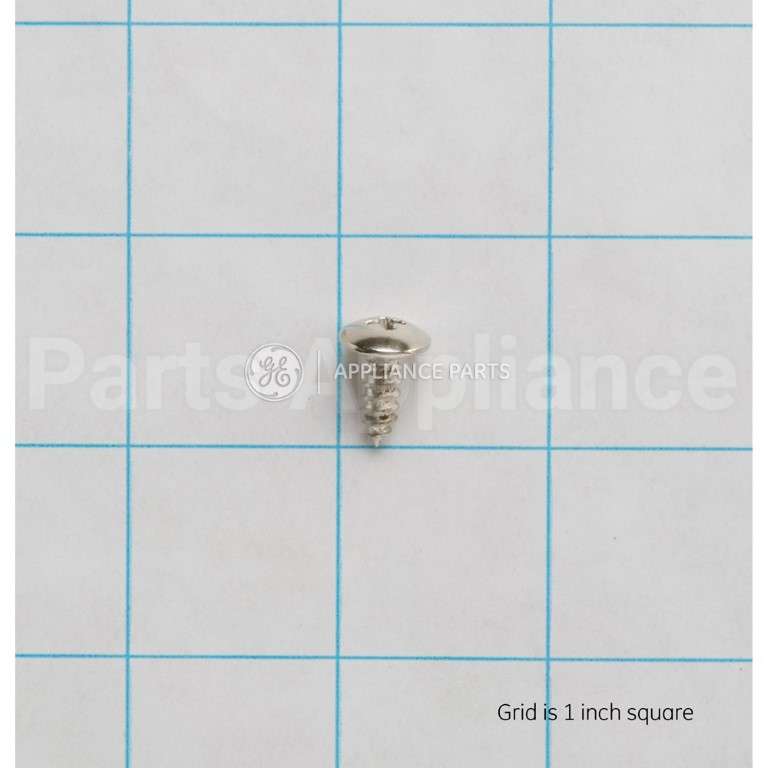 WB1X1137 GE Screw-10Ab