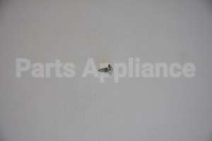 WB1X1137 GE Screw-10Ab