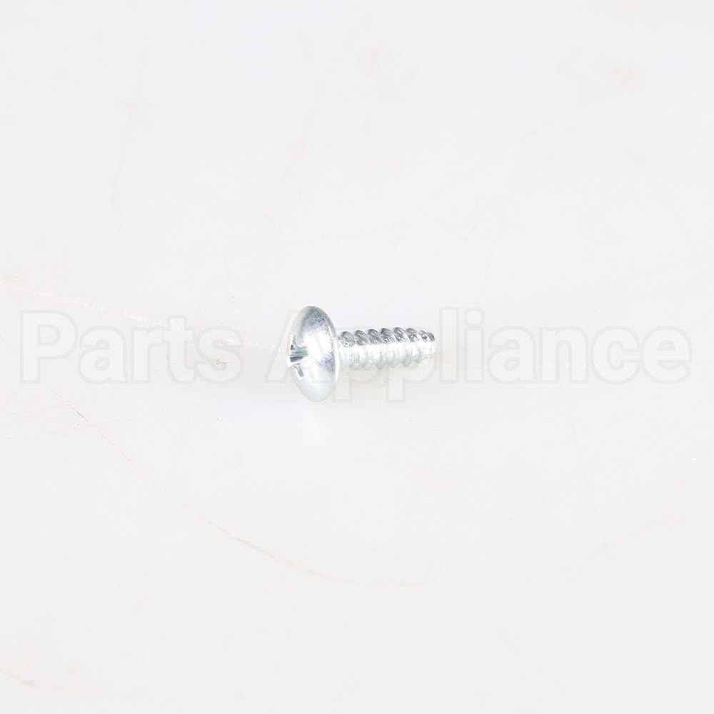 WB1X1515 GE Screw
