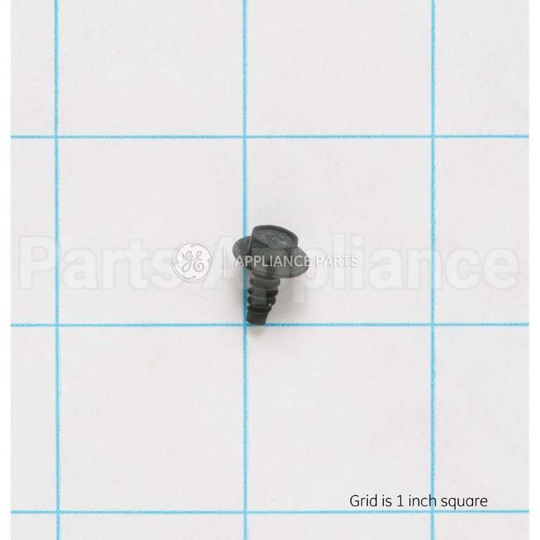 WB1X536 GE Screw