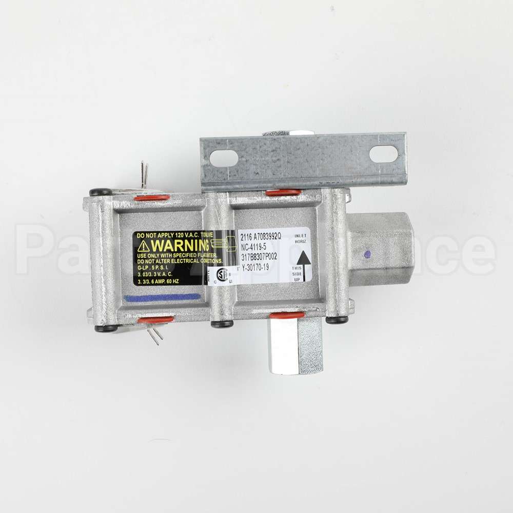 WB21X20474 GE Safety Valve Dual