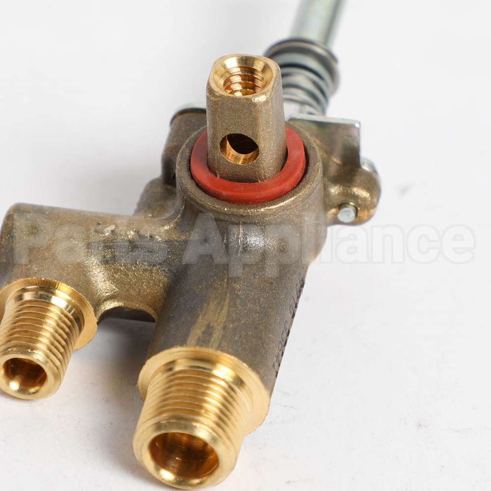 WB21X39509 GE Dual Valve