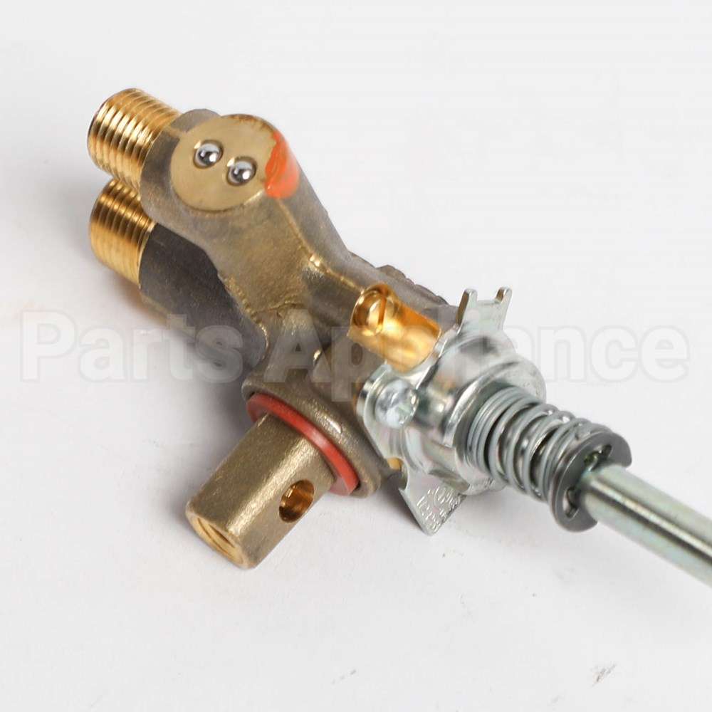 WB21X39509 GE Dual Valve