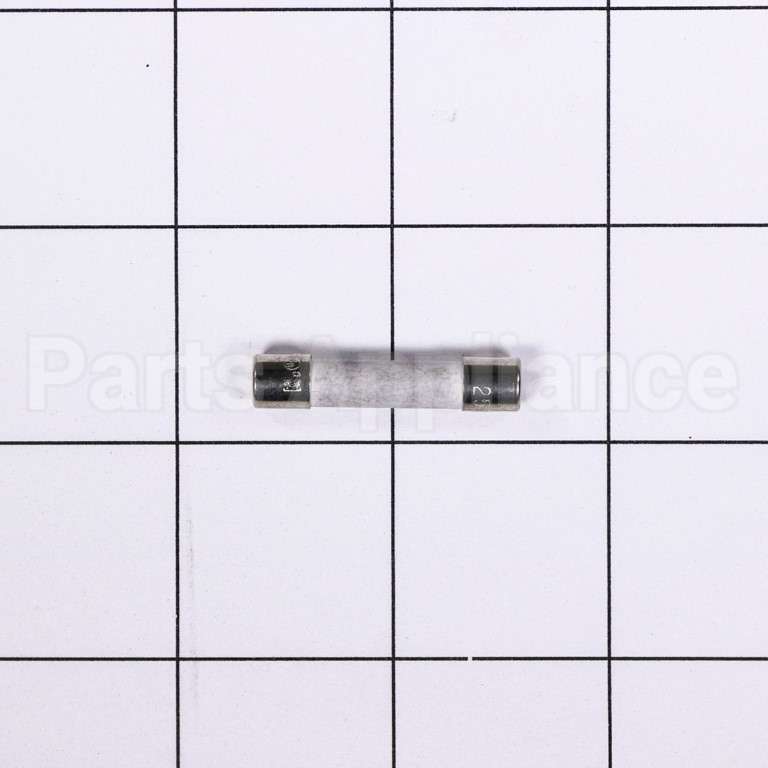 WB27X10454 GE Fuse 250V 15A.