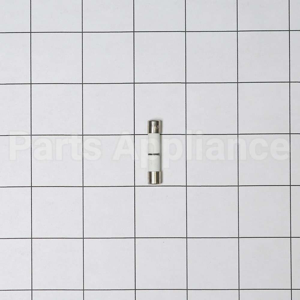 WB27X10928 GE Fuse