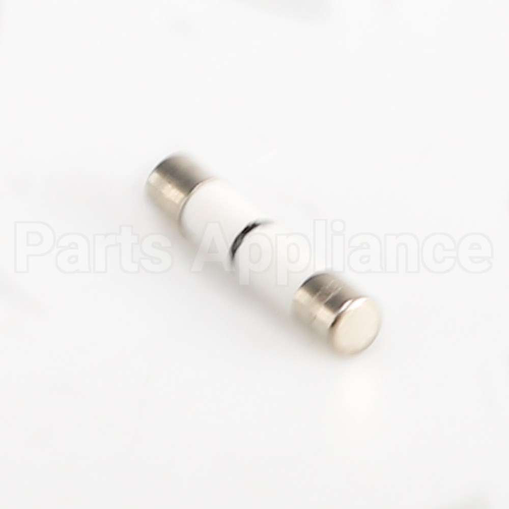 WB27X10928 GE Fuse