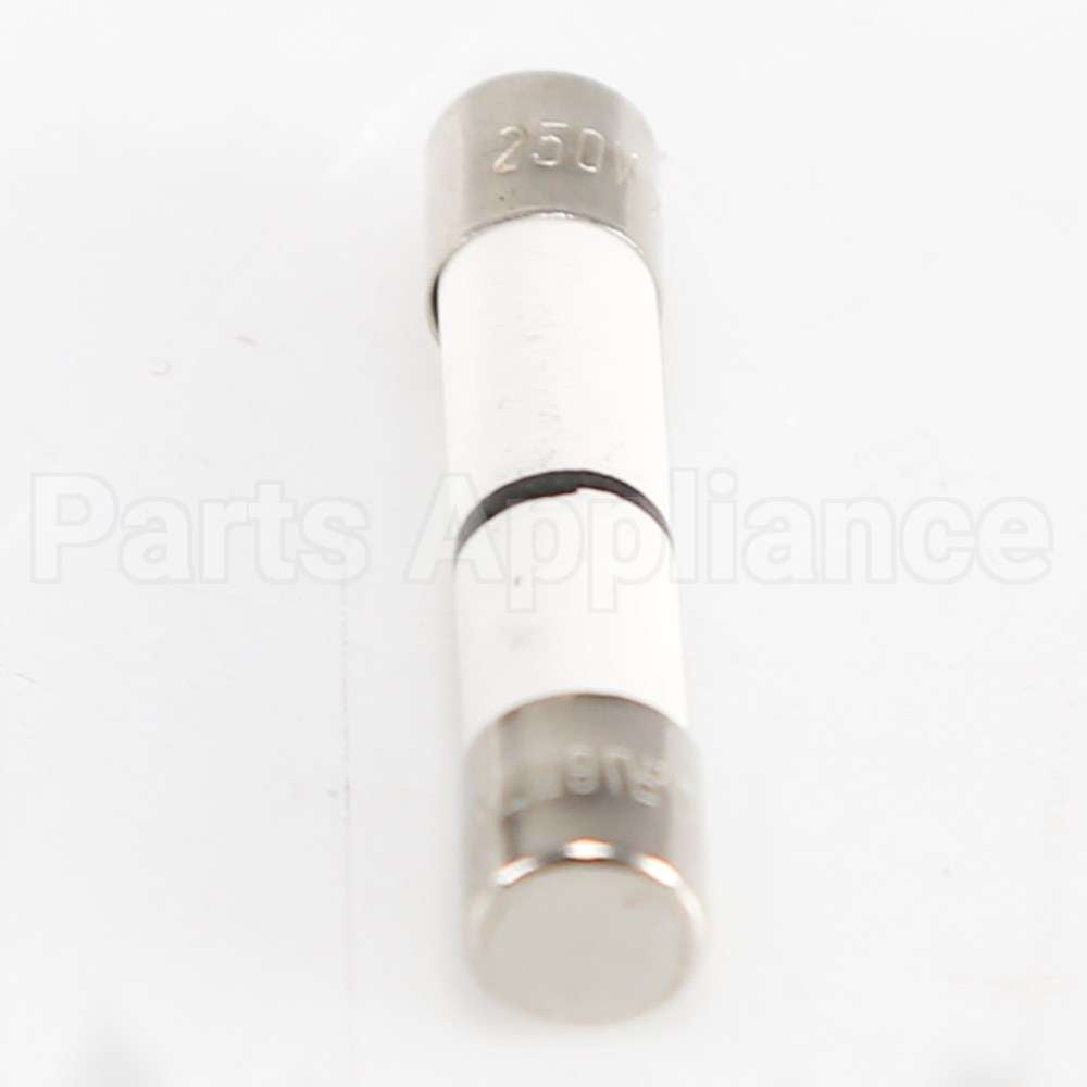 WB27X11099 GE Fuse