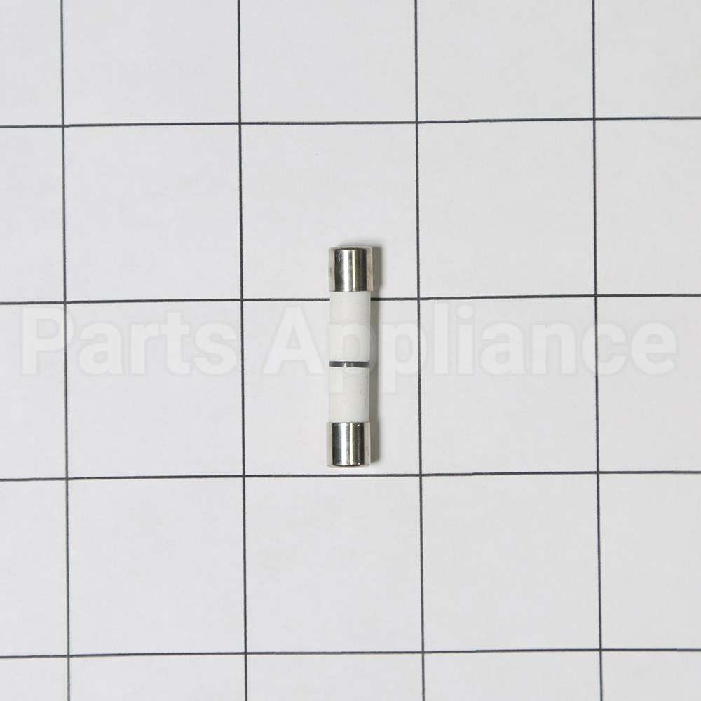 WB27X11099 GE Fuse