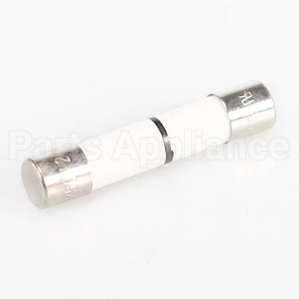 WB27X11099 GE Fuse