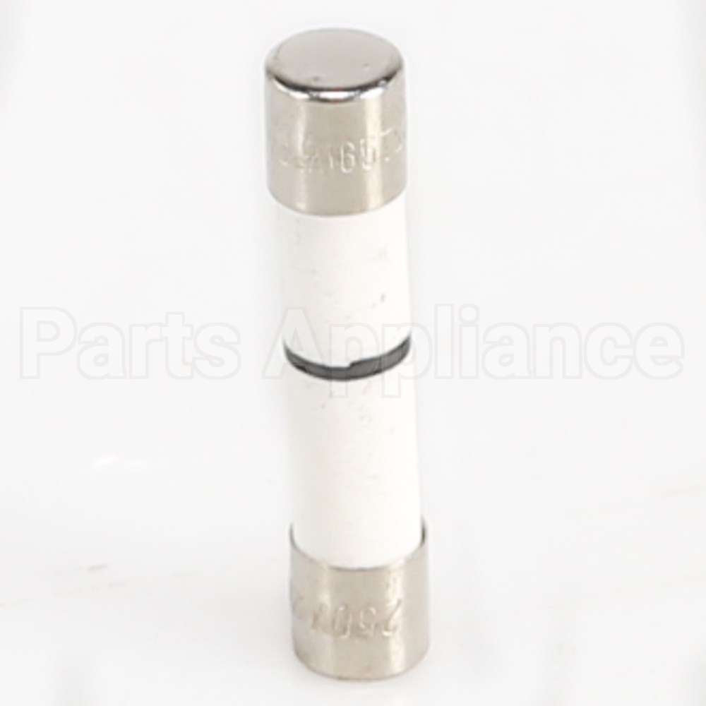 WB27X11099 GE Fuse