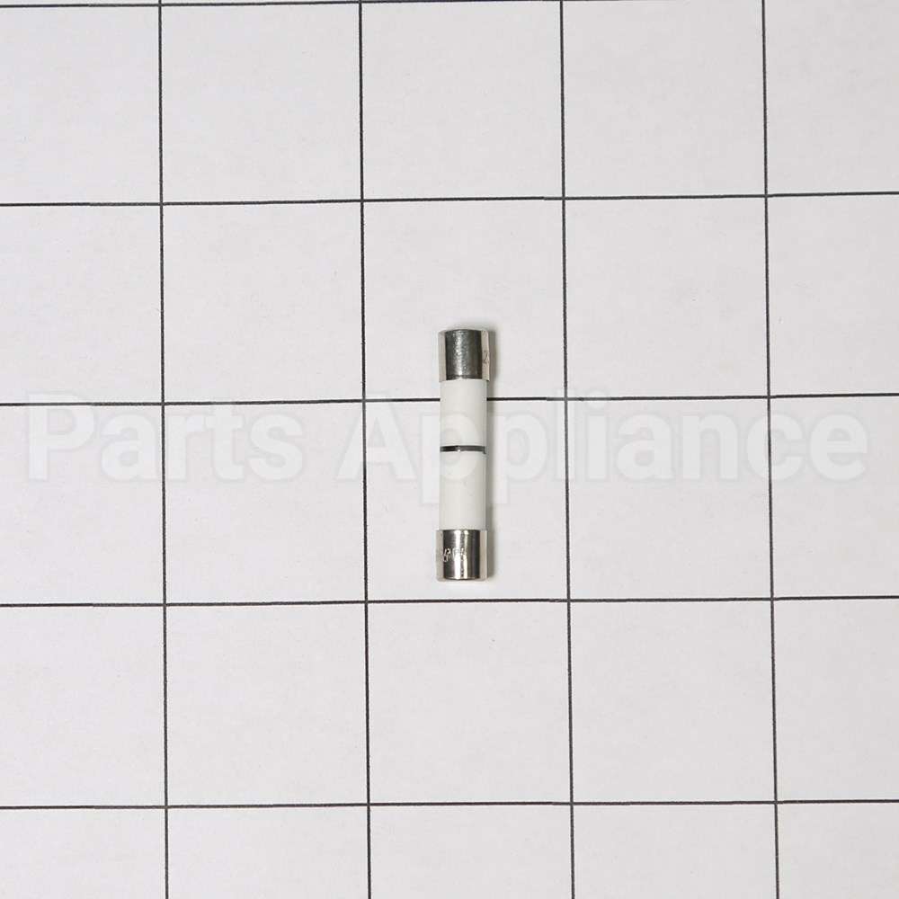 WB27X25389 GE Fuse