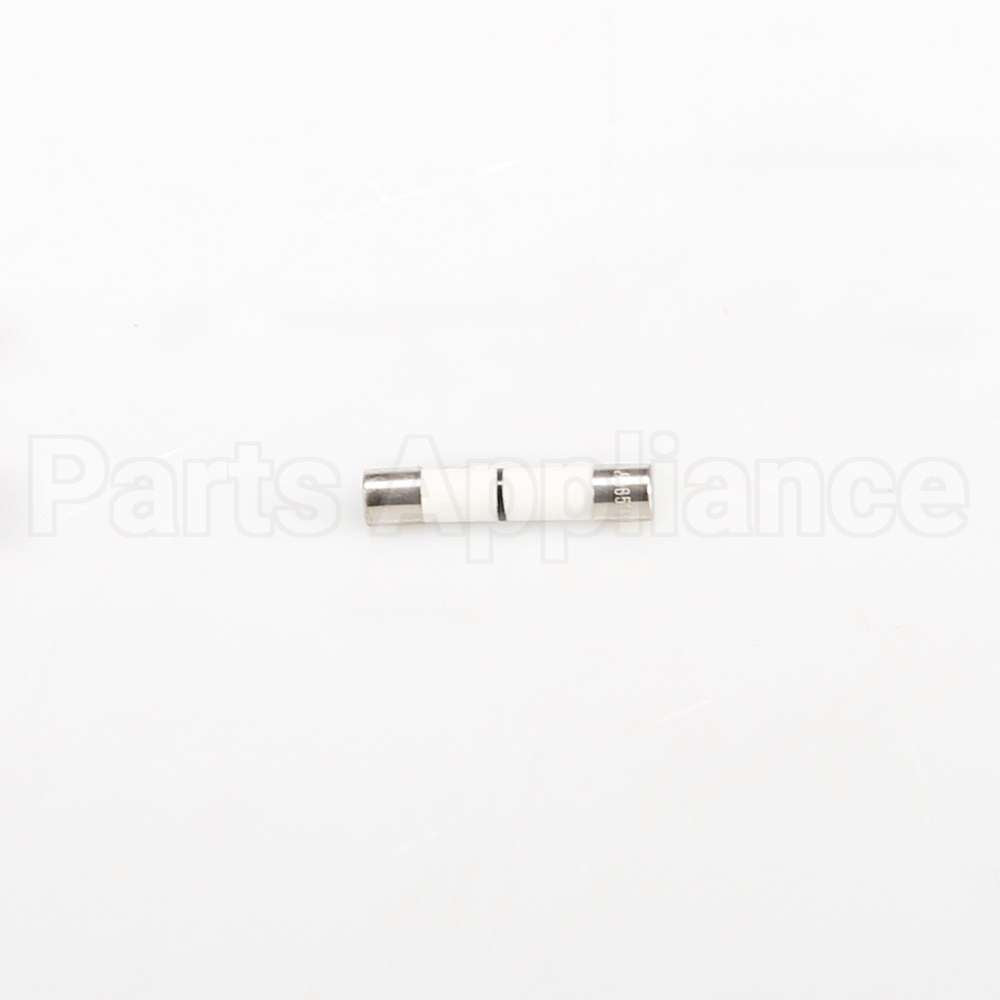 WB27X25389 GE Fuse