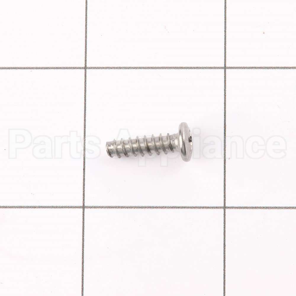 WE02X10060 GE Screw
