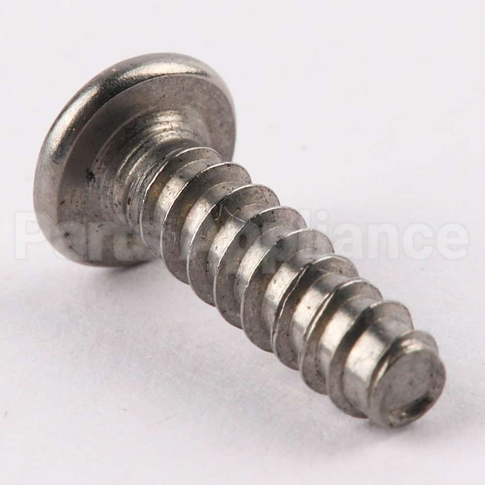 WE02X10060 GE Screw