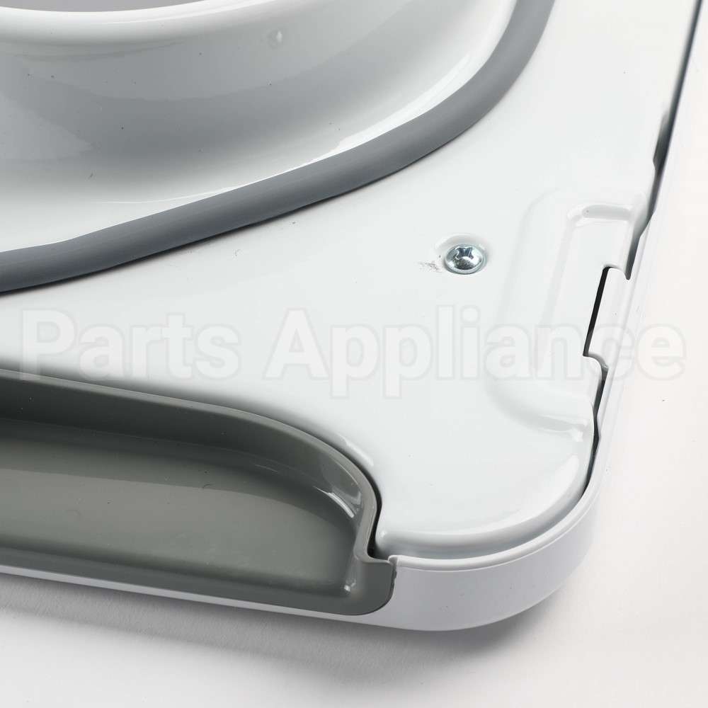 WE10X23891 GE Door Asm