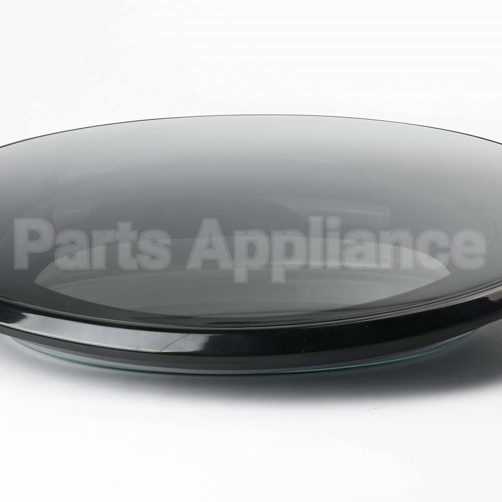 WE10X29718 GE Dryer Door Le
