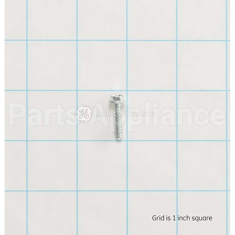 WH02X10370 GE Scr 8-18 X.75 B Hxw 1/2