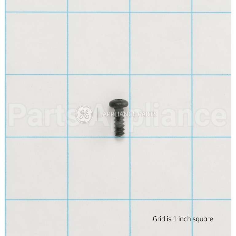 WH02X10372 GE Scr 8-16 Pl Pnt15 .500 S