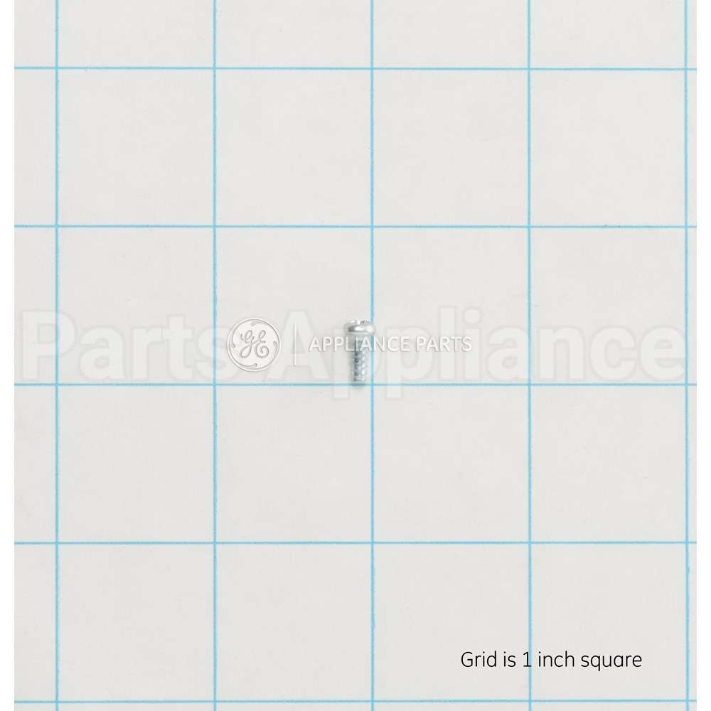 WH02X10381 GE Scr 4-16 H/L Pnt10 .315S