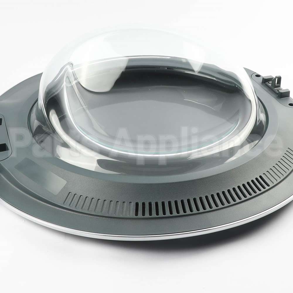 WH10X29544 GE Washer Door